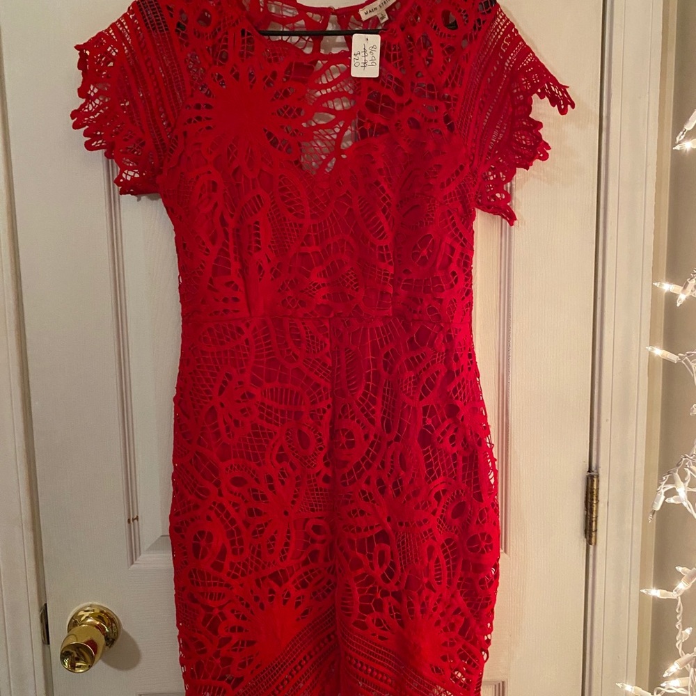 NWT Lace Bodycon Dress